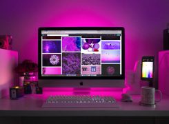 Website design tools we’re using in 2020